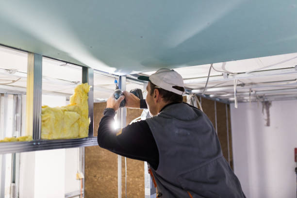 Best Insulation for Specific Applications in Edina, MN
