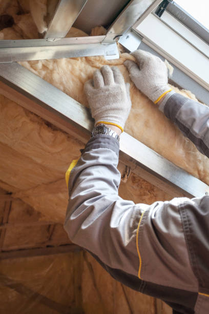 Best Types of Insulation in Edina, MN