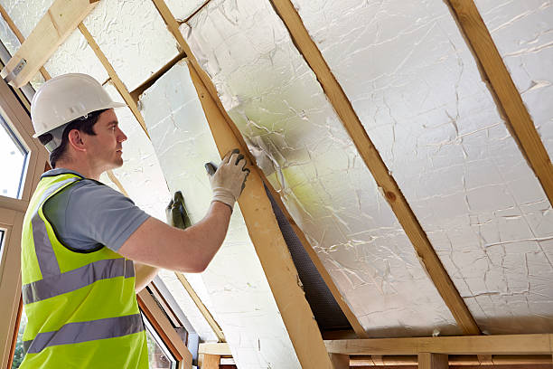 Best Energy Efficiency Solutions in Edina, MN
