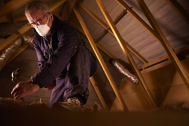 Best Residential Insulation in Edina, MN